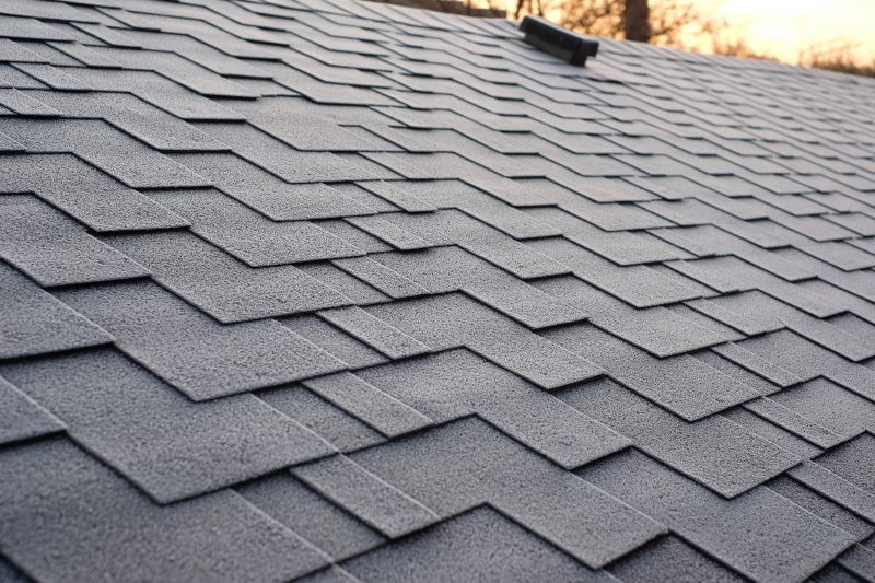 Solar Shingles Close-up